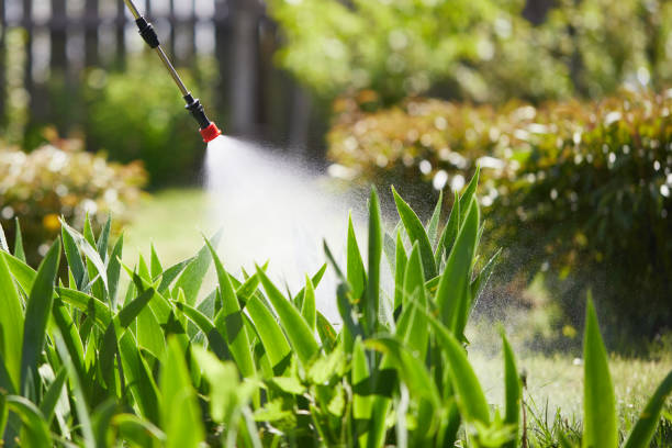 24/7 Emergency Mosquito Control experts in Delafield, WI
